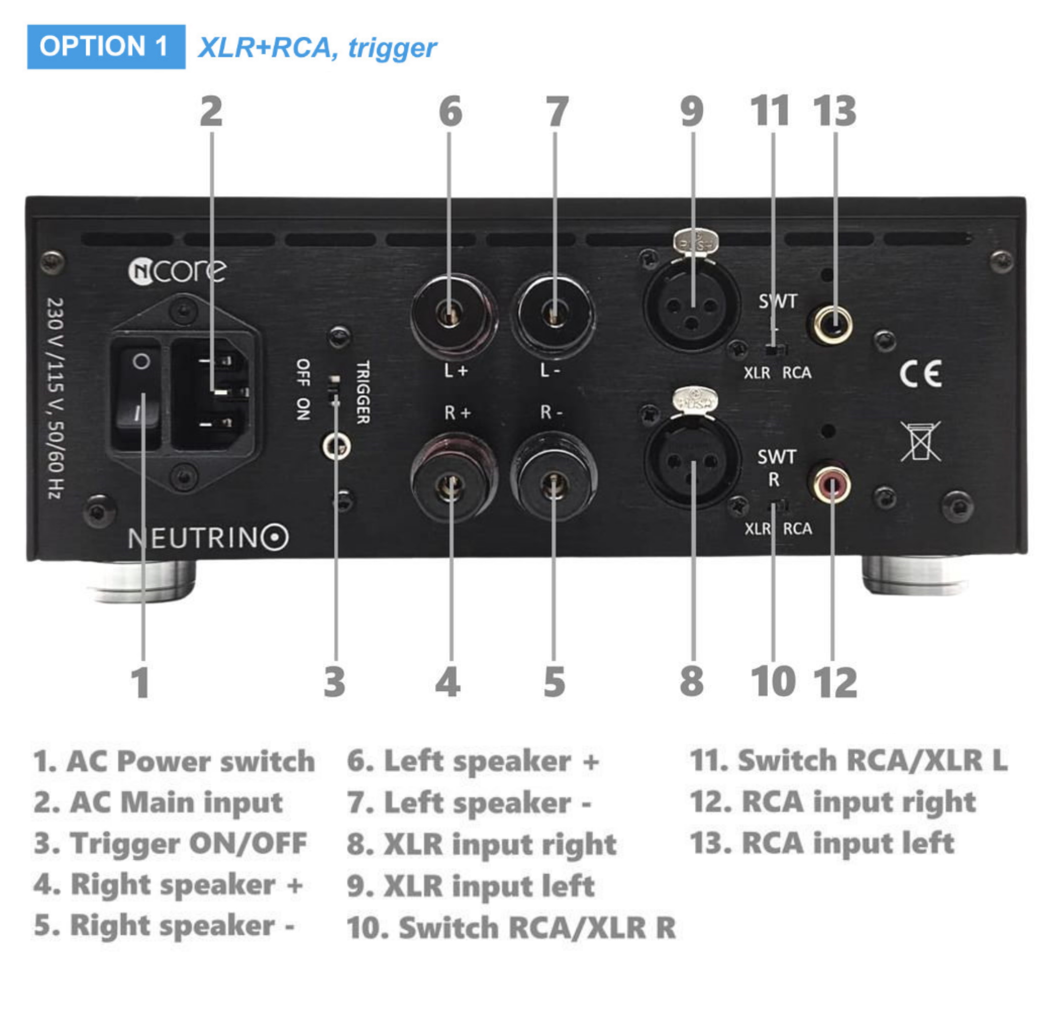 Odoo • A picture with a caption